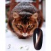Гель-лак CosmoLac Кошачий глаз №3