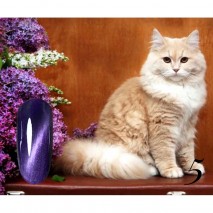 Гель-лак CosmoLac Кошачий глаз №5